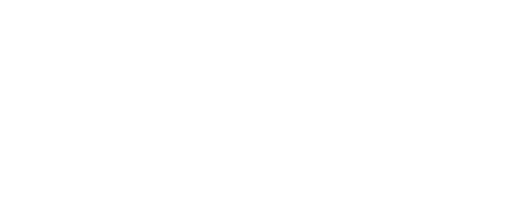 PT Brainflit Karya Informatika Logo